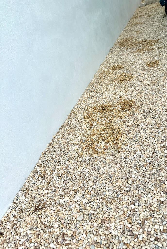 Same gravel yard after Paradise Poo Rescue cleanup — stones cleared and sanitized